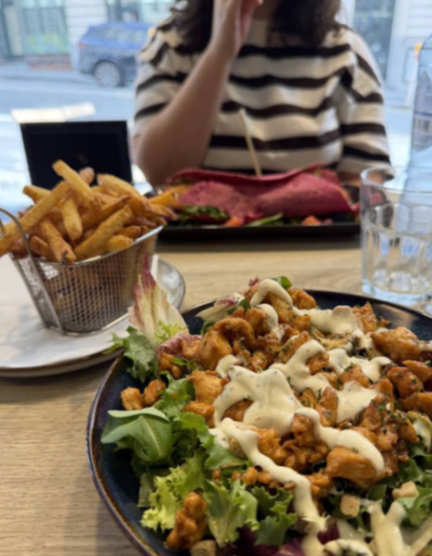 Zouzou strip